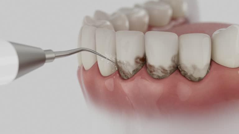 Reliable Dental contractor in Morro Bay, CA by Dentist Open Now